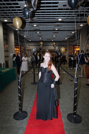 Film Festival Opening night 2024