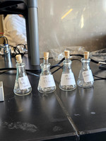 Stem day