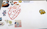 Student Engagement vision boards for all campuses